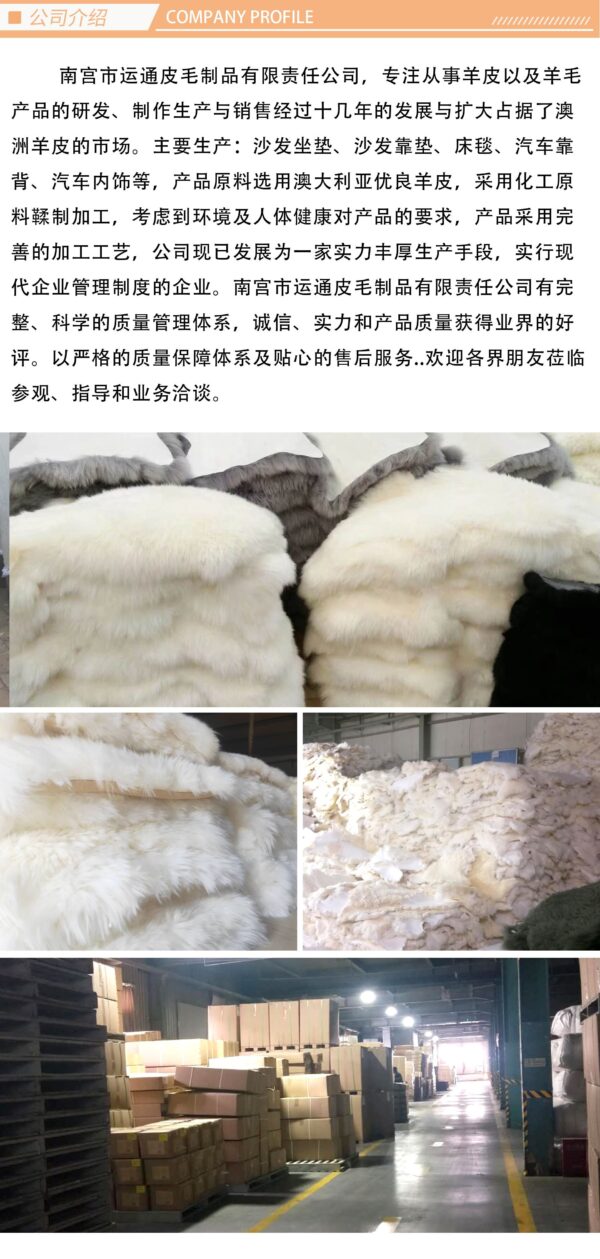 Australian Wool Carpet Sofa Blanket Bay Window Mat Whole Sheepskin Wool One-piece Home Bedroom Bedside Blanket Wool Floor Mat - 图片 2