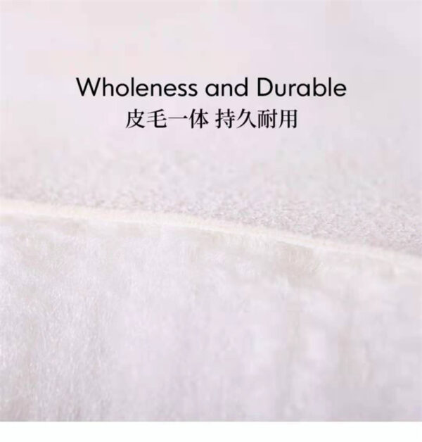 Australian Wool Carpet Sofa Blanket Bay Window Mat Whole Sheepskin Wool One-piece Home Bedroom Bedside Blanket Wool Floor Mat - 图片 4