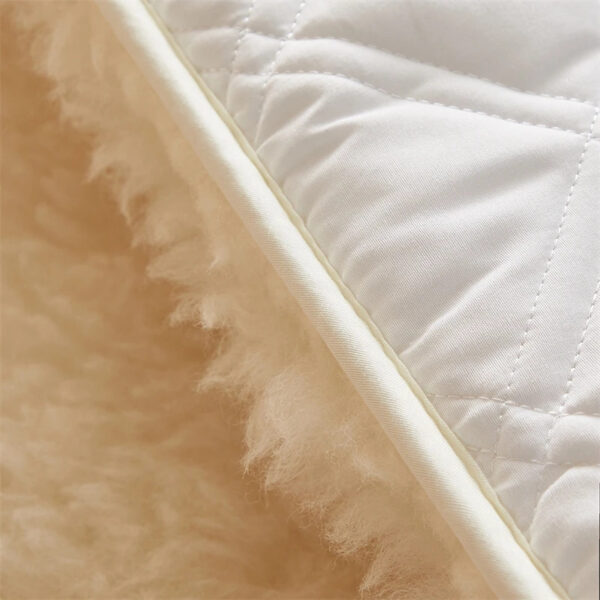Fluffy soft solid color Lamb Fleece Mattress Upholstered Bed Tatami Mattress Topper Winter Student Dormitory Sleeping Pad - 图片 12