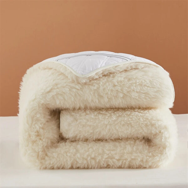 Fluffy soft solid color Lamb Fleece Mattress Upholstered Bed Tatami Mattress Topper Winter Student Dormitory Sleeping Pad - 图片 2